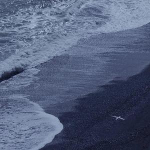 美女高清毛片视频免费观看
