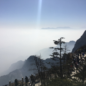 美女高清毛片视频免费观看
