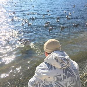 美女高清毛片视频免费观看
