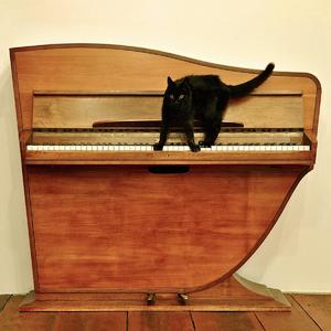 美女高清毛片视频免费观看
